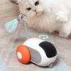 Cat interacting with ZoomiCar Chase – motion sensor cat toy car
